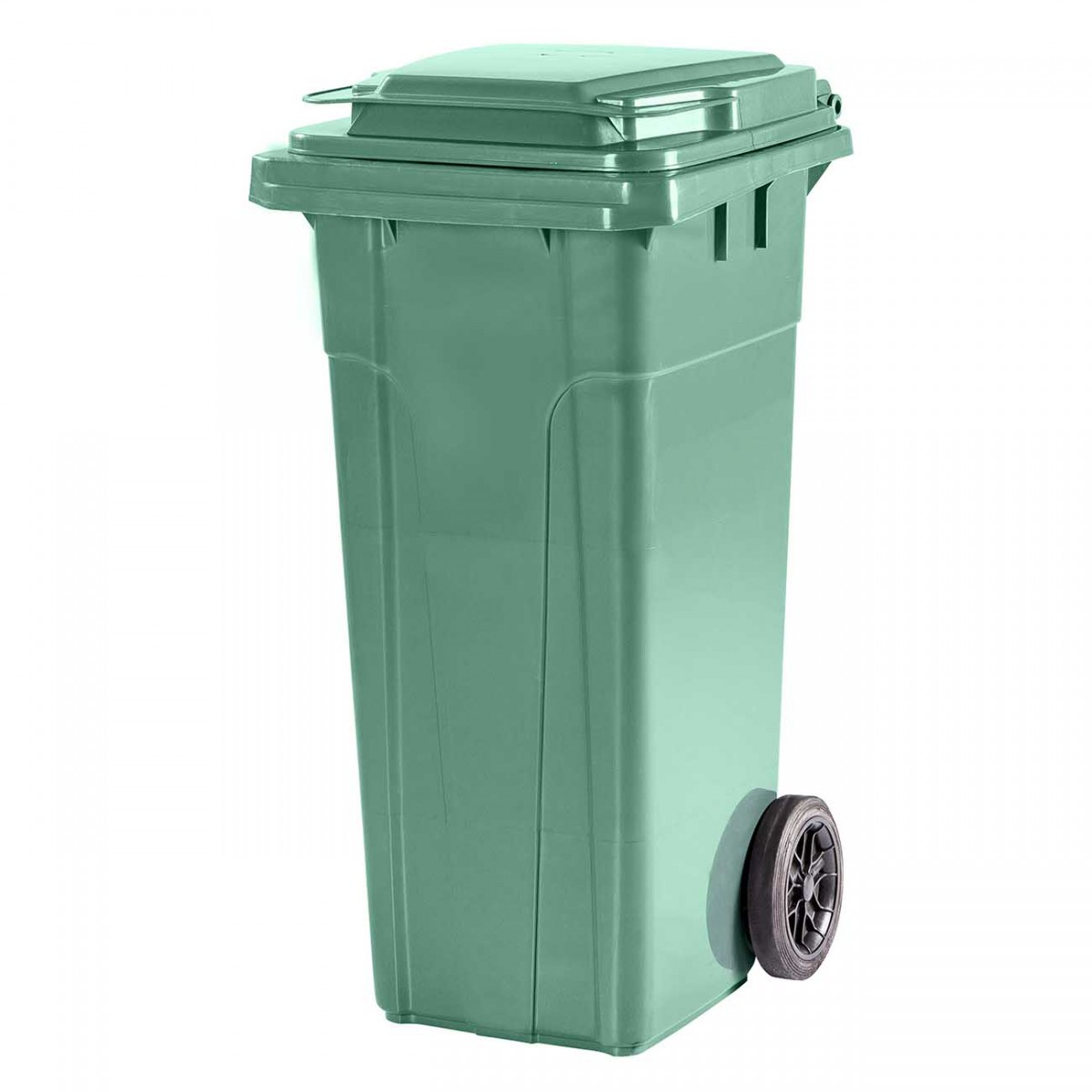 Κάδος απορριμμάτων σε πράσινο 120L